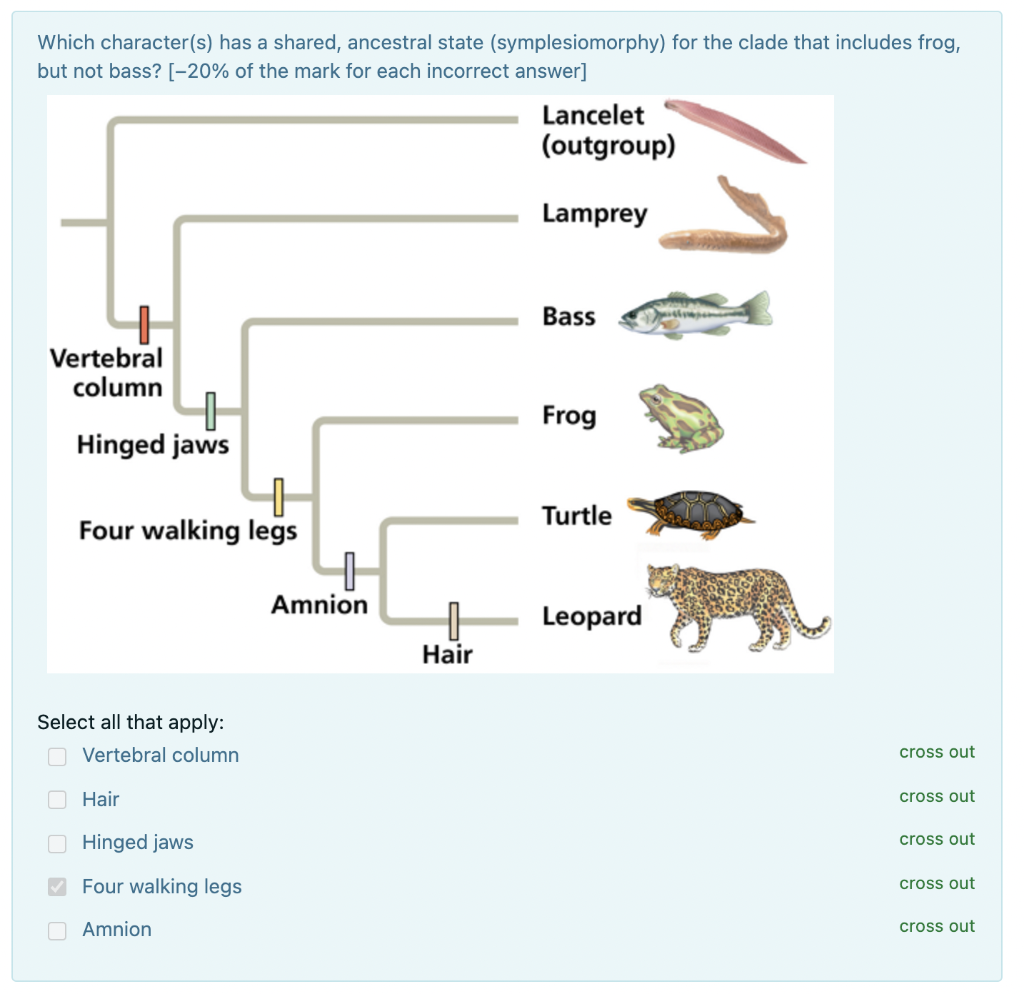 Solved Which character(s) has a shared, ancestral state | Chegg.com