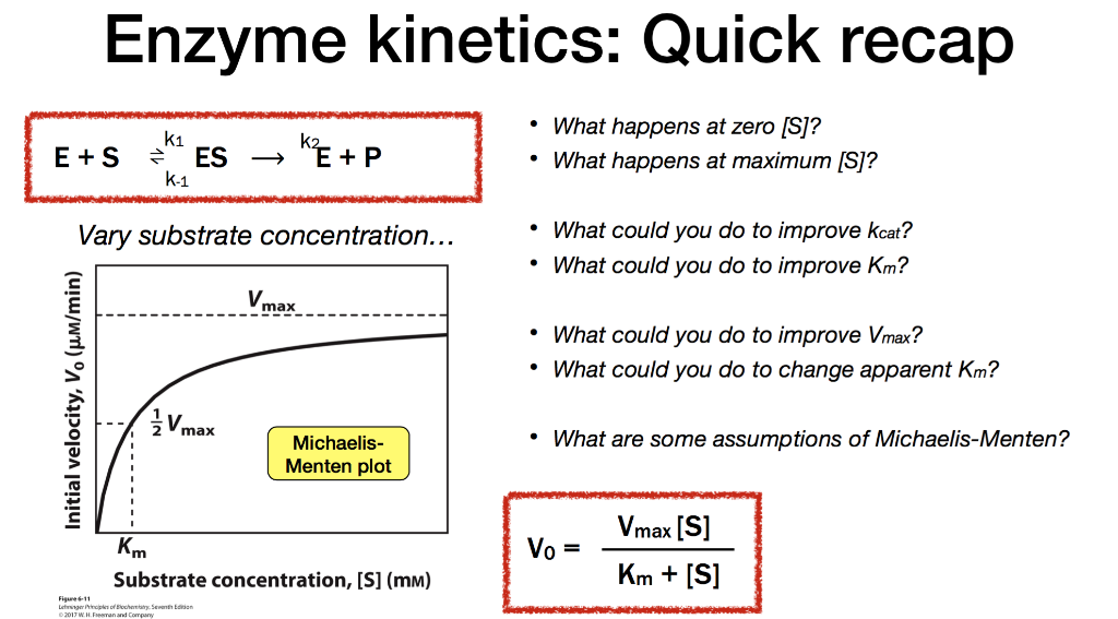 solved-enzyme-kinetics-quick-recap-e-s-k1-es-k-1-ke-p-chegg