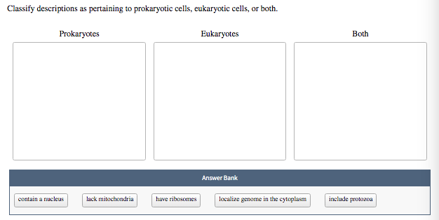 Solved Classify Descriptions As Pertaining To Prokaryotic Chegg Com