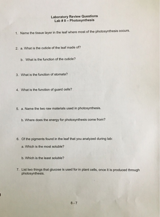 Solved Laboratory Review Questions Lab 8Photosynthesis 1.
