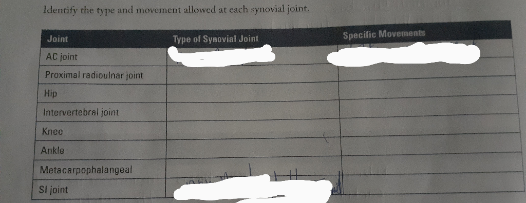 Solved Identify The Type And Movement Allowed At Each Chegg