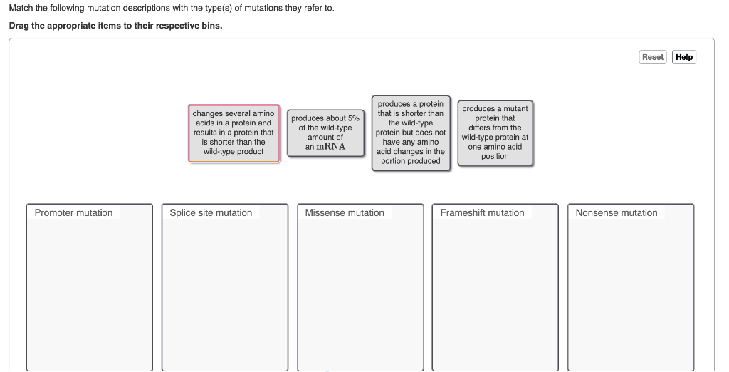 Solved Match the following mutation descriptions with the | Chegg.com