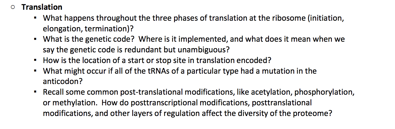 Solved O Translation • What happens throughout the three | Chegg.com