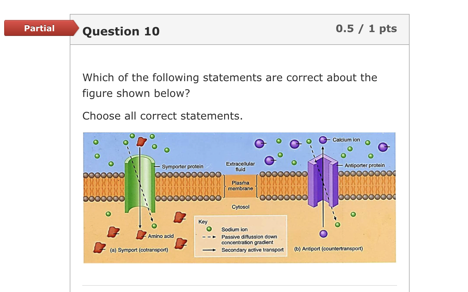 Solved a. This is an example of active transport b. | Chegg.com