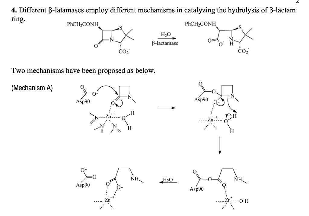 Solved 4. Different B-latamases employ different mechanisms | Chegg.com