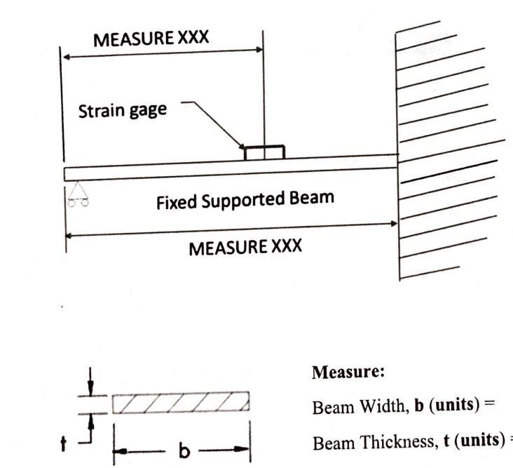 Solved Measure: Beam Width, b (units) = Beam Thickness, t | Chegg.com