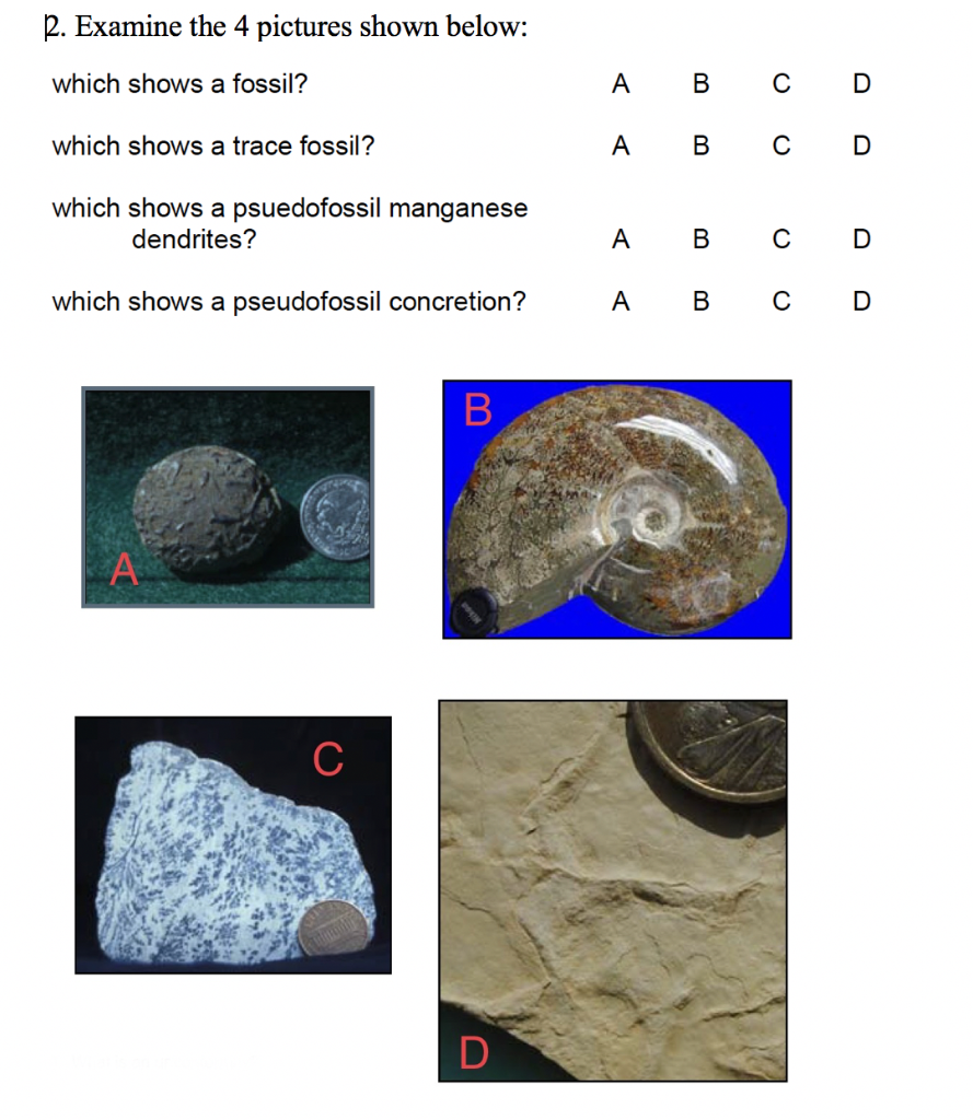 Solved 2. Examine the 4 pictures shown below: which shows a | Chegg.com