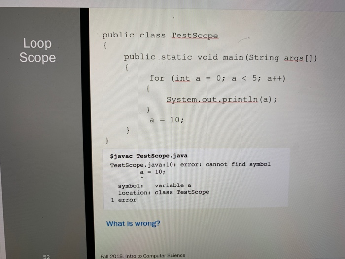Solved public class TestScope Loop Scope public static void | Chegg.com
