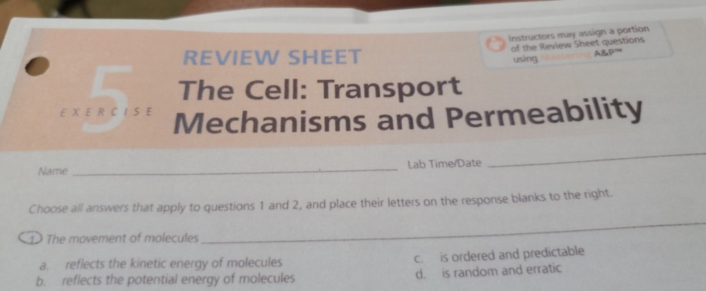 cell transport mechanisms and permeability lab answers