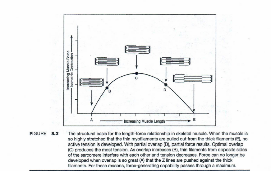 Solved Study Figure 8 3 In The Lab Manual Showing The Chegg