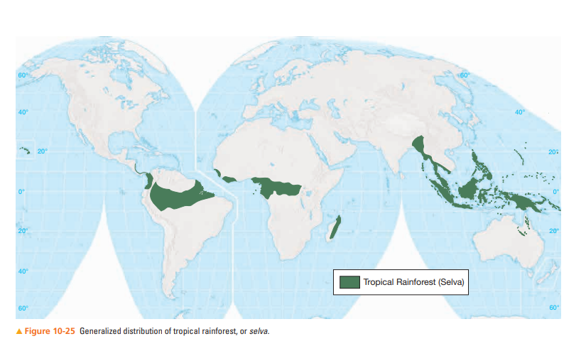 tropical rainforests map