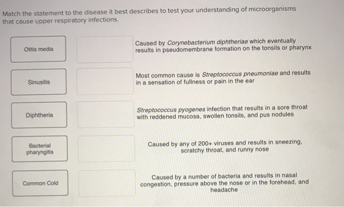 Solved Match the statement to the disease it best describes | Chegg.com