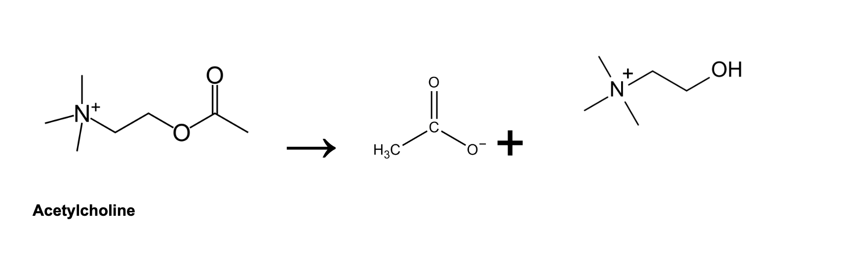 Solved draw the enzyme binding pocket and active site draw