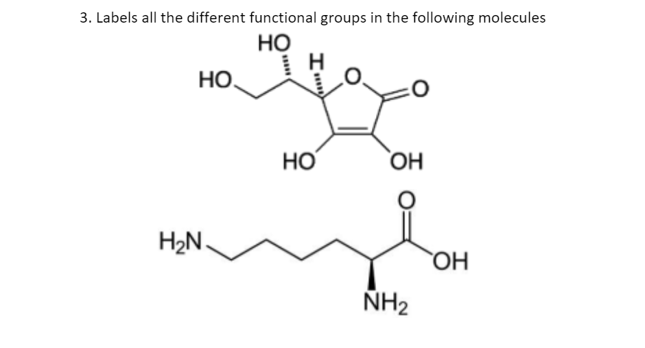 Solved 3. Labels all the different functional groups in the | Chegg.com