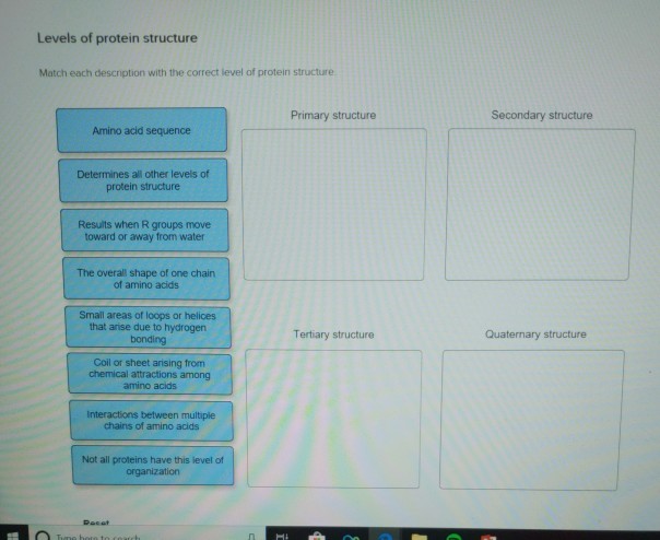 Solved Levels Of Protein Structure Match Each Description | Chegg.com