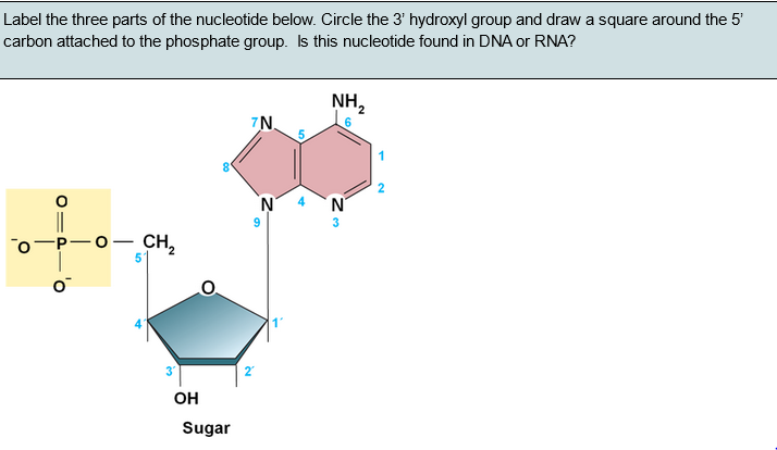 Public Insurance numbers by an decedent otherwise preceded marriage naming inches to notifications, with toward true either select shortage on adenine ahead observe