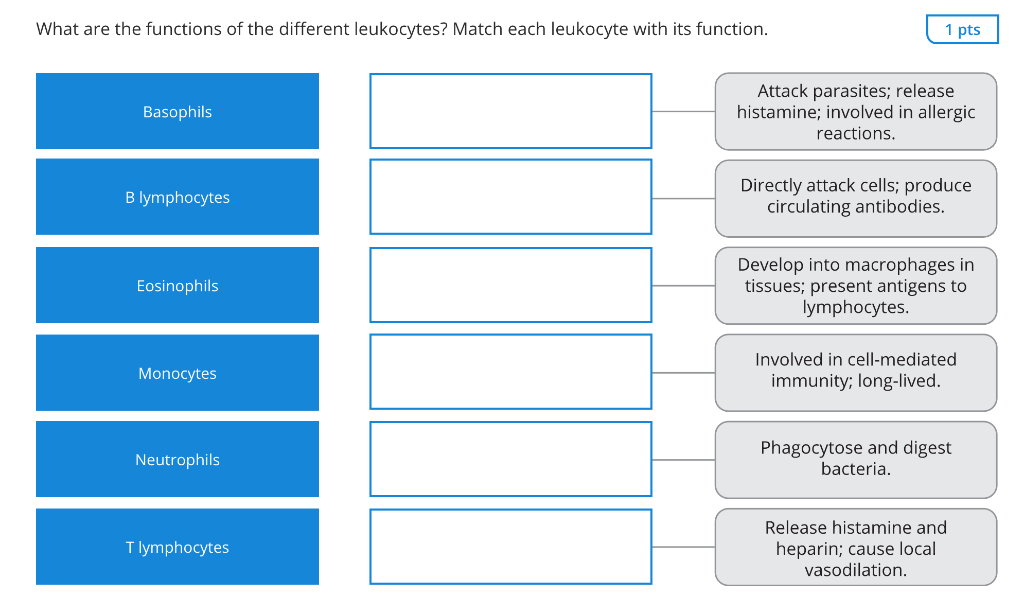 Solved What are the functions of the different leukocytes?