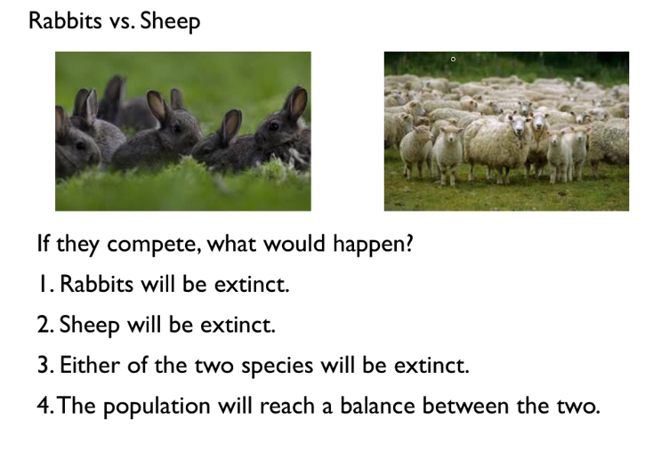 Solved Let x() = the size of the rabbit population at time | Chegg.com