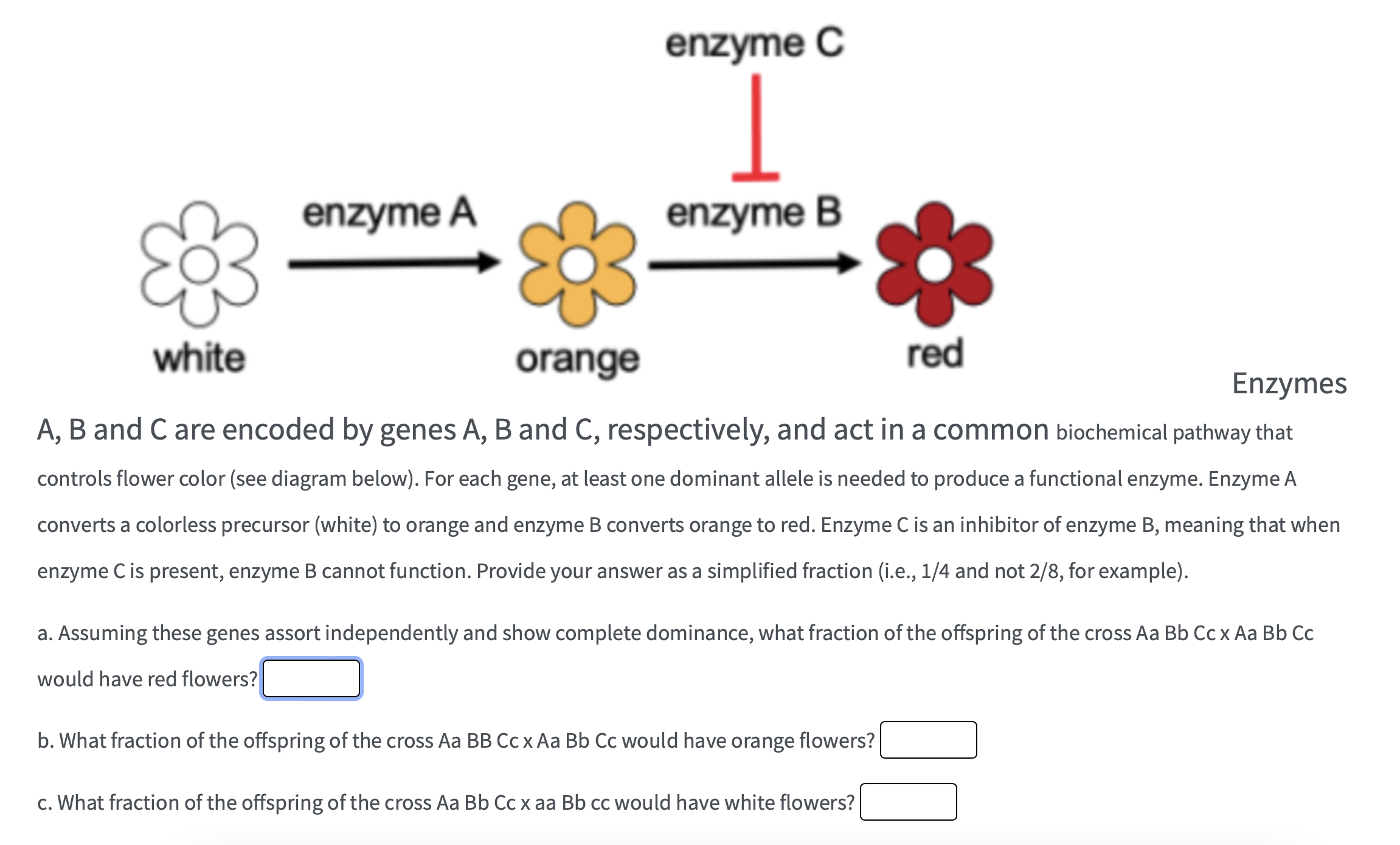 Solved Enzymes A, B And C Are Encoded By Genes A, B And C, | Chegg.com