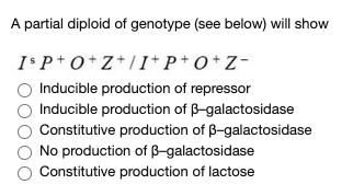 Solved A partial diploid of genotype (see below) will show | Chegg.com