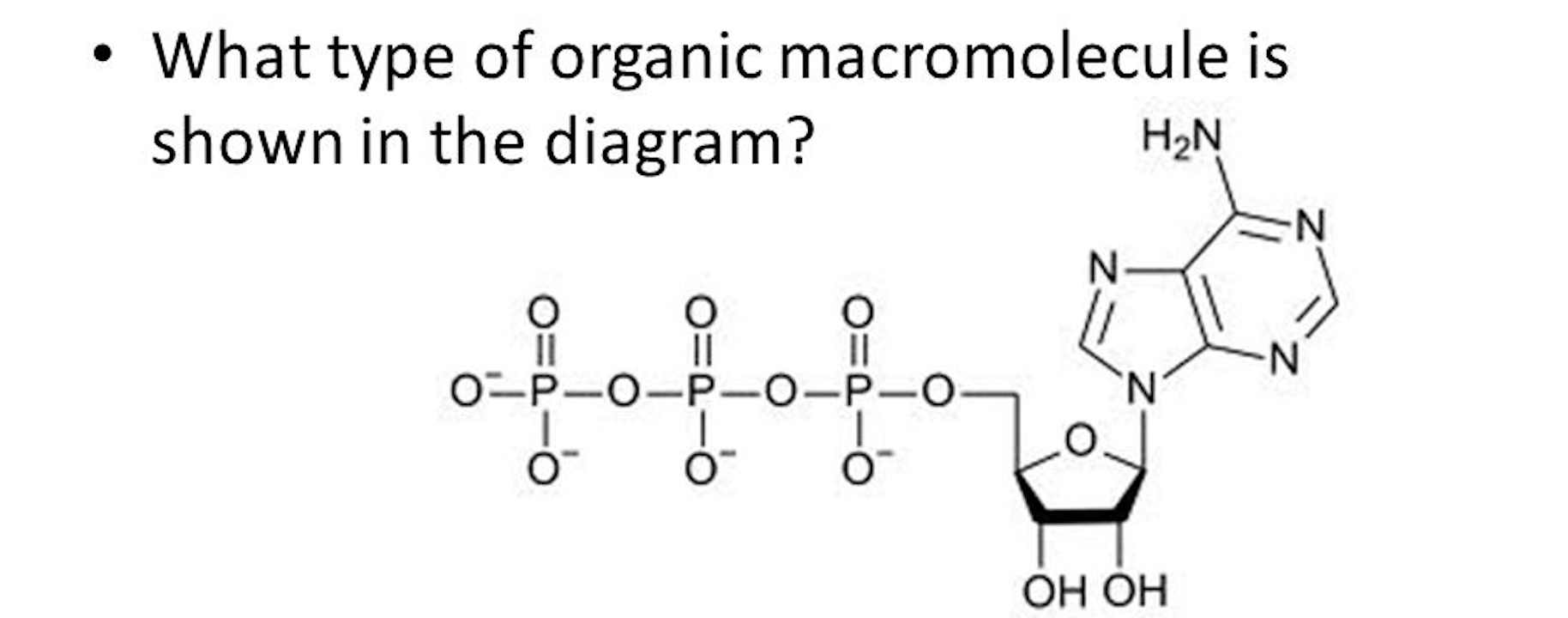 Solved a) What type of macromolecule is shown? b) What is | Chegg.com