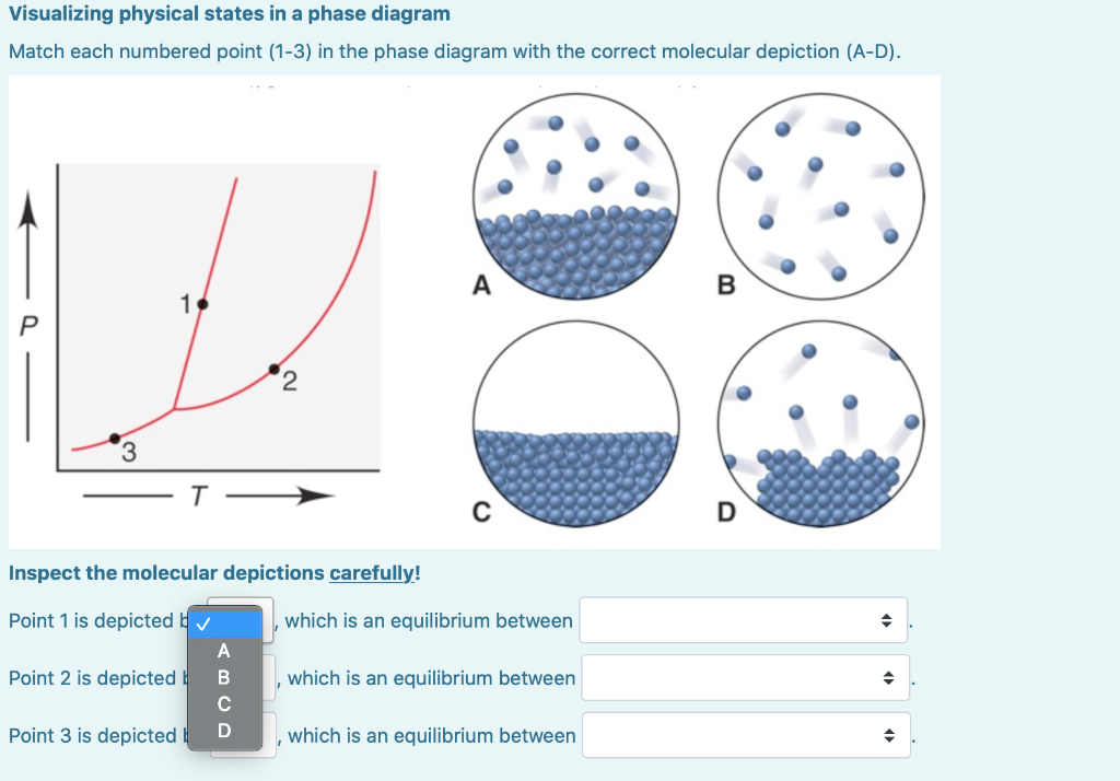 Solved Visualizing physical states in a phase diagram Match | Chegg.com