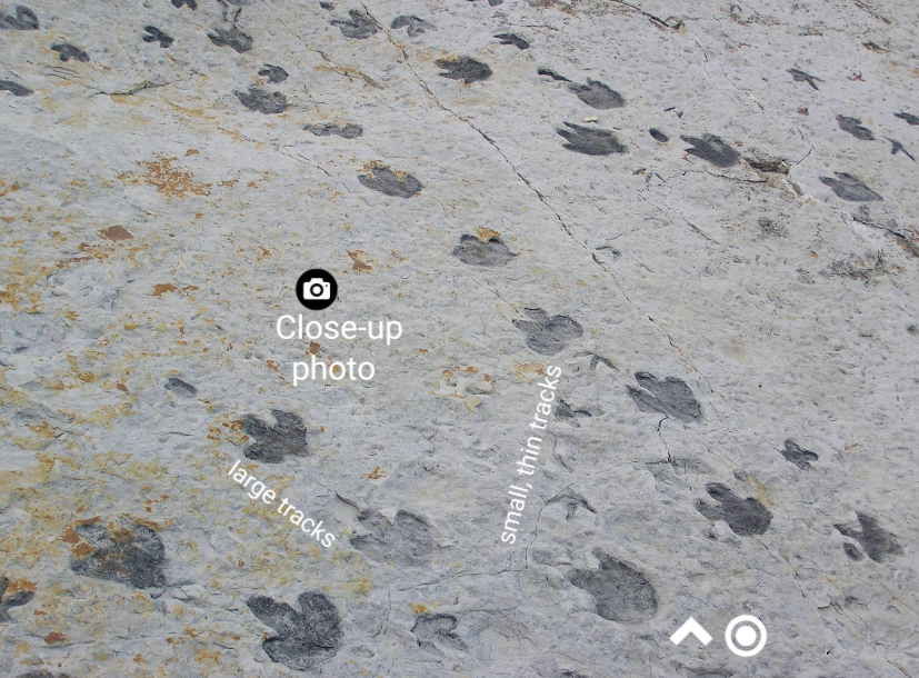 Solved Please walk through the online dinosaur ridge field | Chegg.com