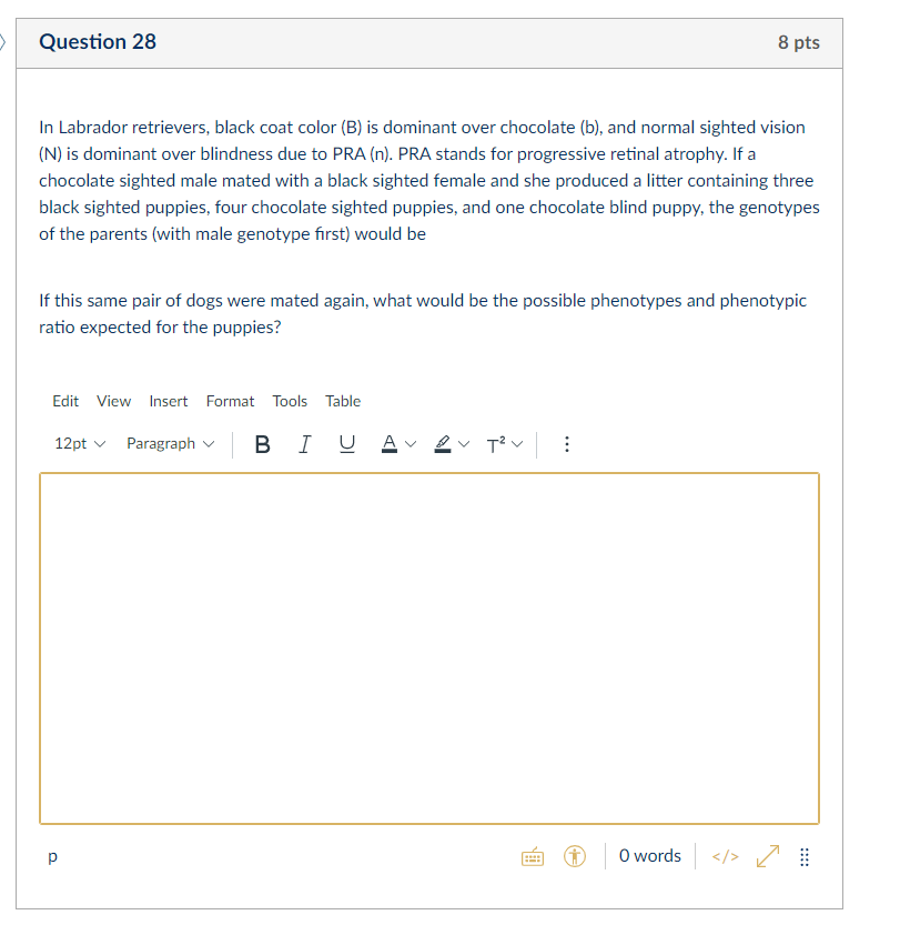 Solved Question 28 In Labrador retrievers, black coat color