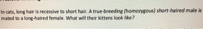 Solved In cats, long hair is recessive to short hair. A | Chegg.com