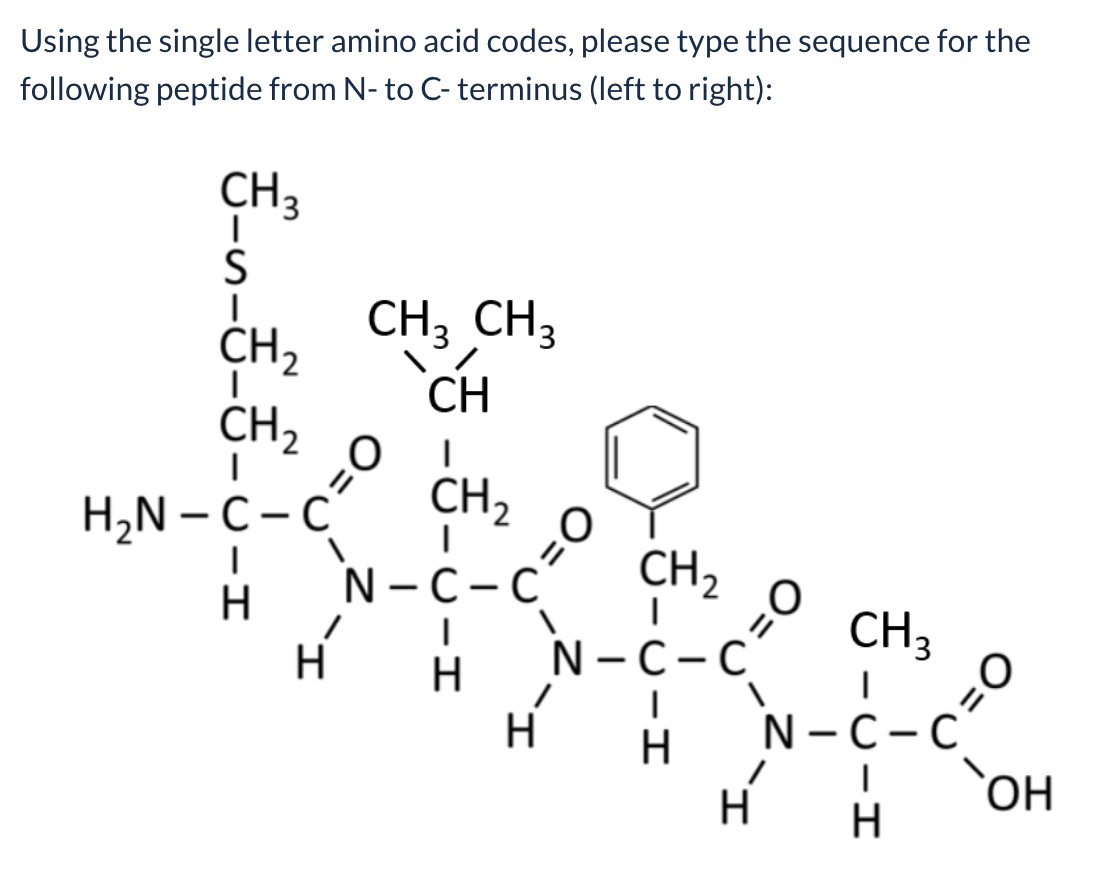 Using The Single Letter Amino Acid Codes Please Type Chegg Com