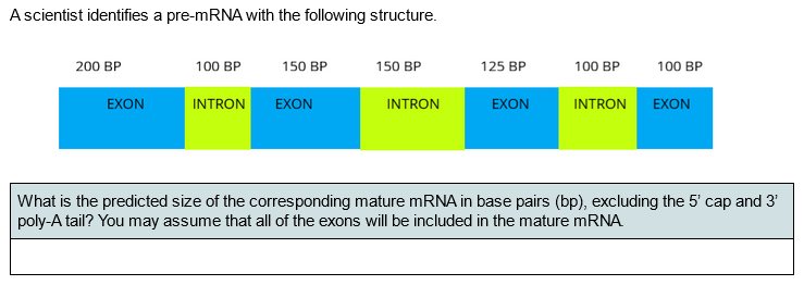 Solved Ascientist identifies a pre-mRNA with the following | Chegg.com