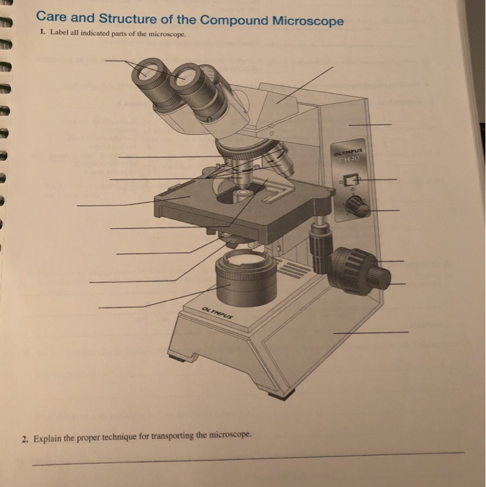 Solved Care and Structure of the Compound Microscope 1. | Chegg.com
