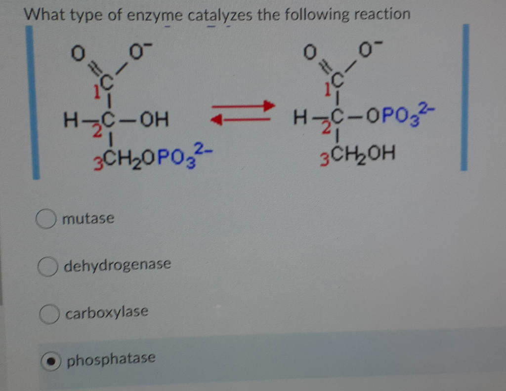 Solved What type of enzyme catalyzes the following reaction
