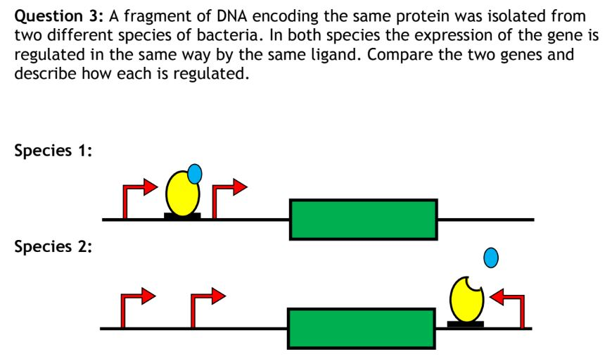 Solved Question 3: A fragment of DNA encoding the same | Chegg.com