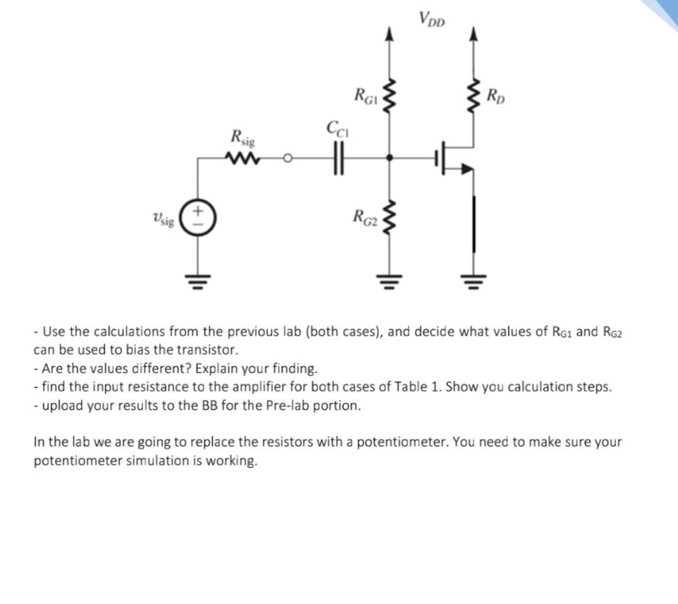 Cmos common source amplifier theory of natural selection