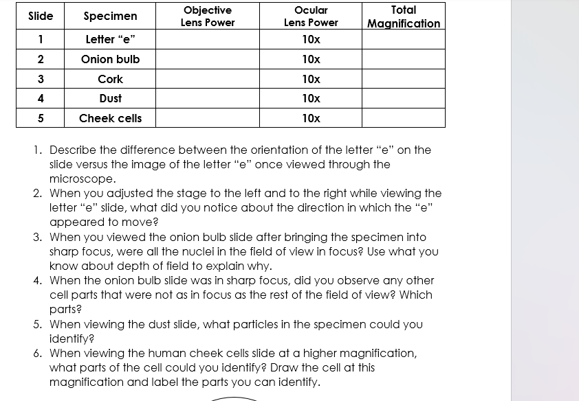 Solved 1. Describe the difference between the orientation of | Chegg.com