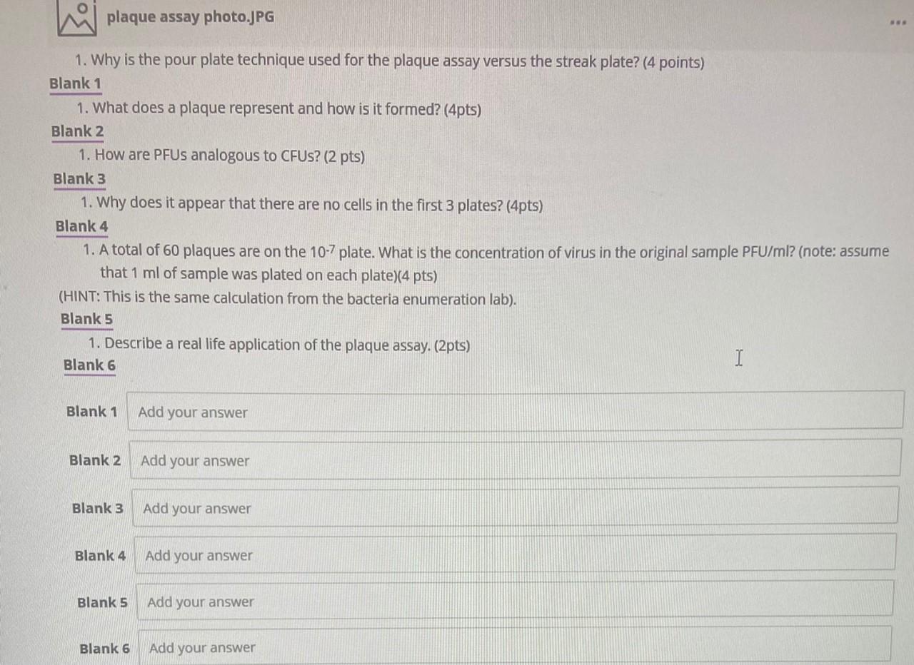 Solved plaque assay photo.JPG 1. Why is the pour plate | Chegg.com