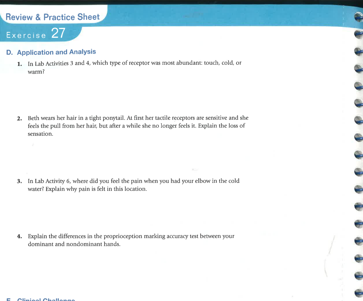 Solved Review & Practice Sheet Exercise 27 D. Application | Chegg.com