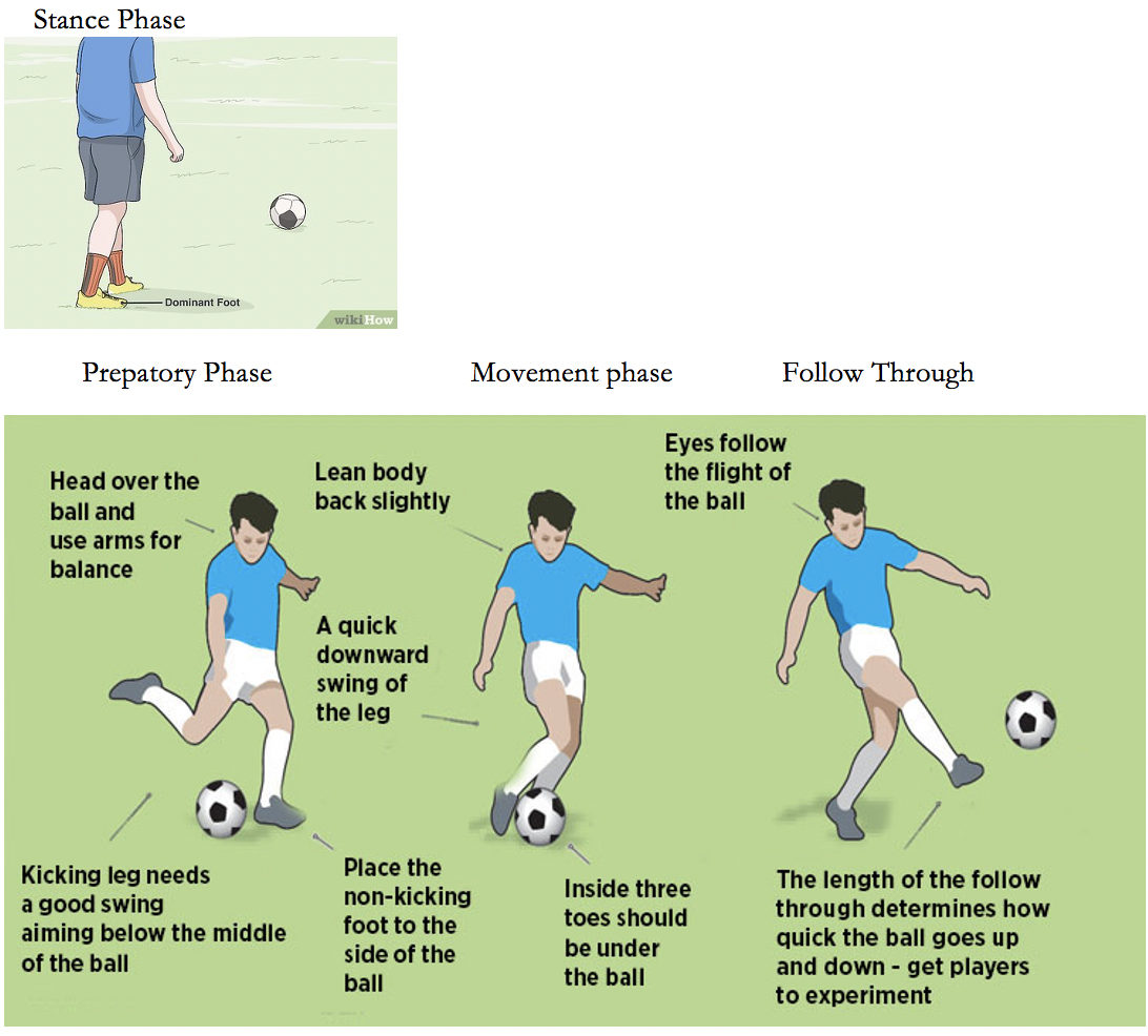 Solved 3. Knee joint sport skill analysis chart Analyze each