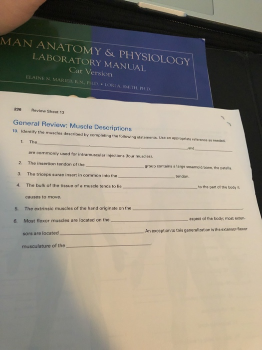 Solved MAN ANATOMY & PHYSIOLOGY LABORATORY MANUAL Cat