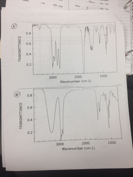 Solved Lacey STRUCTURE DETERMINATION PROBLEMS USING IR | Chegg.com