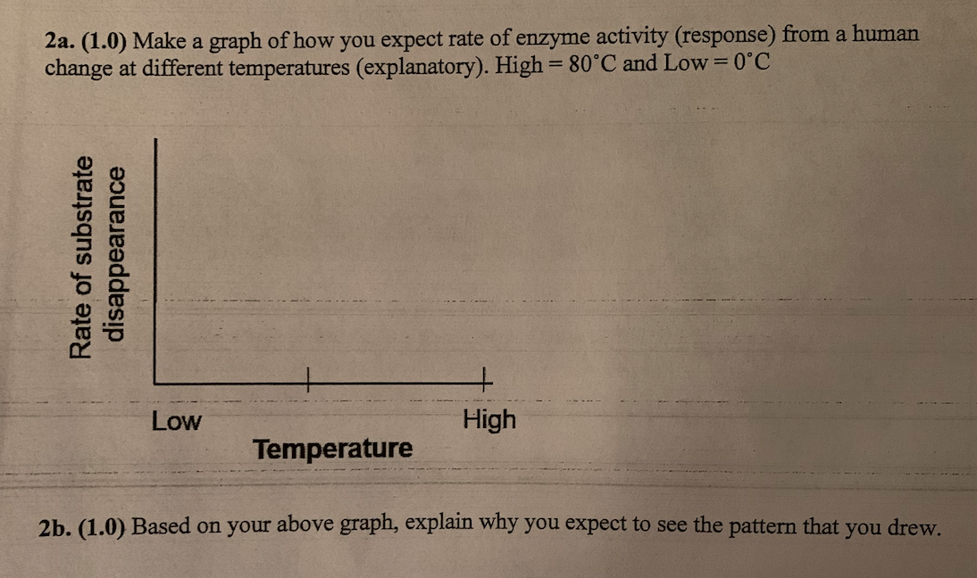Solved Make a graph of how you expect rate of enzyme | Chegg.com