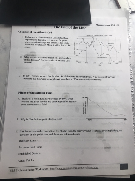 Cod Collapse Graph Solved Oceanography SCG 120 The End of the Line Collapse of | Chegg.com