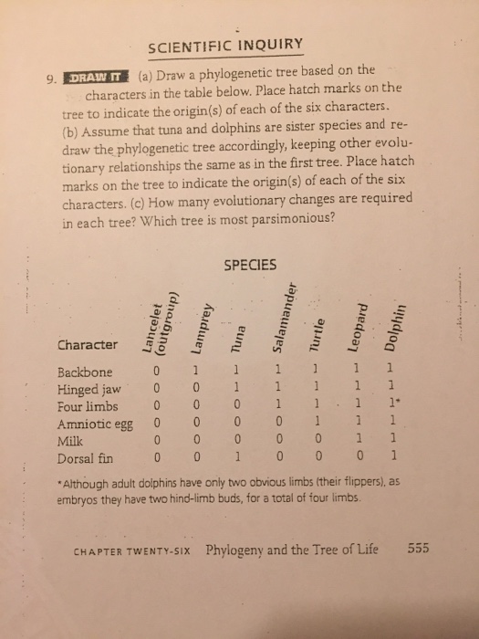 Solved Draw a phylogenetic tree based on the characters in | Chegg.com