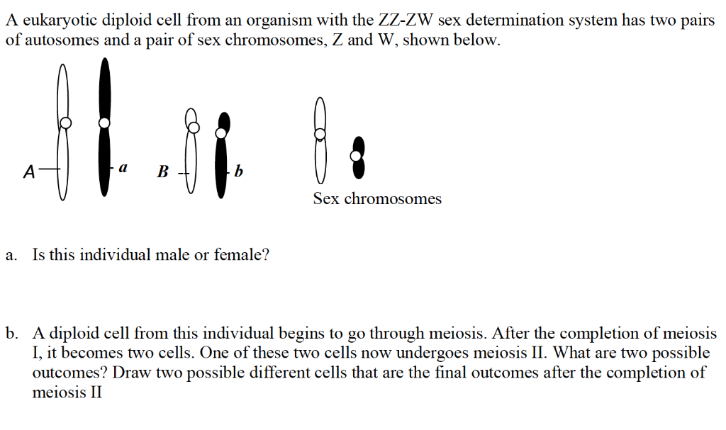 Solved A eukaryotic diploid cell from an organism with the | Chegg.com