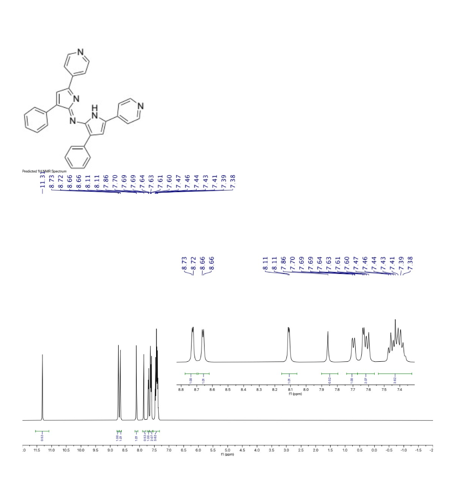 Solved Show A Detailed Interpretation Of 1H NMR And 13C NMR | Chegg.com