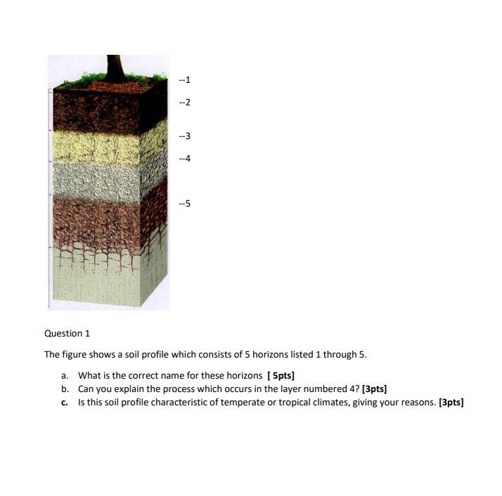 Solved -- 1 --2 --3 --5 Question 1 The figure shows a soil | Chegg.com