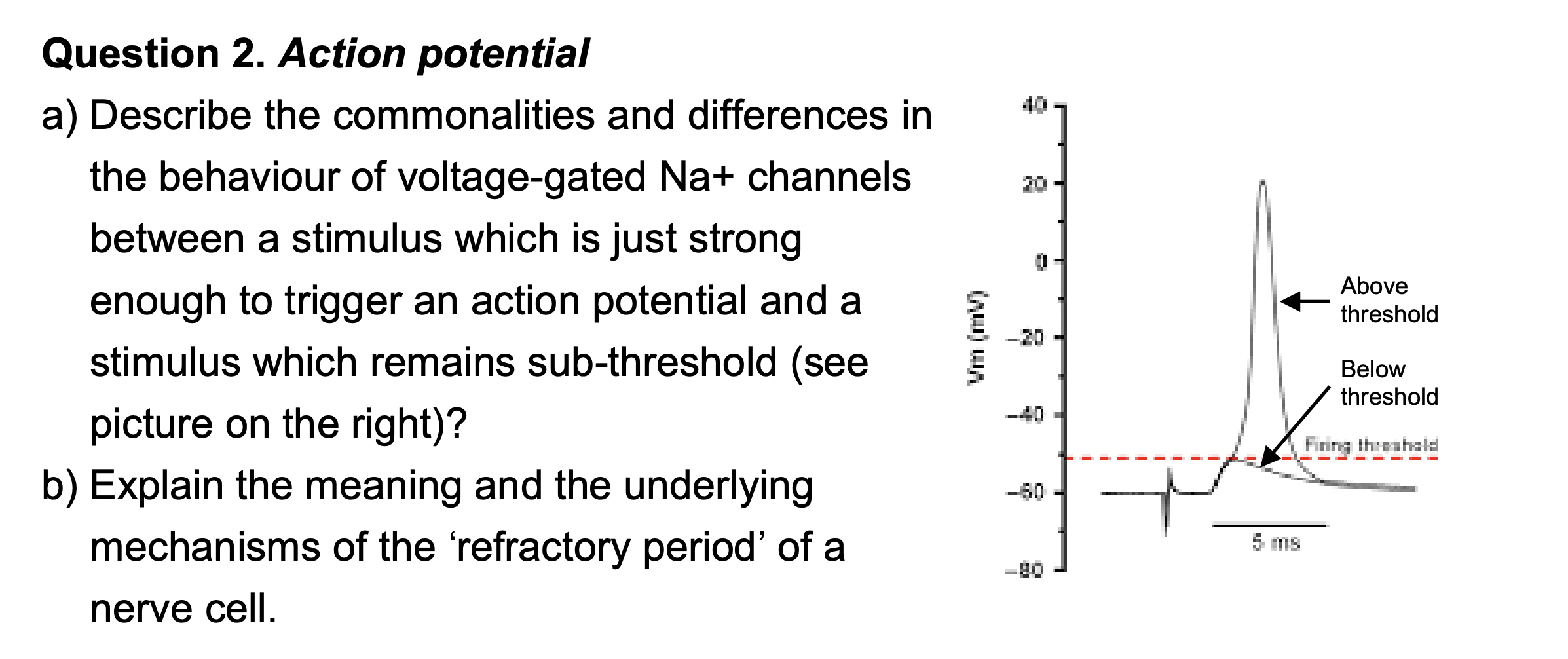 Solved Question 2. Action Potential A) Describe The | Chegg.com