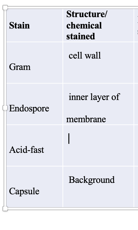 Solved Microbiology lab help. Are the filled in one correct? | Chegg.com