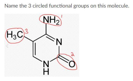 Solved Name the 3 circled functional groups on this | Chegg.com